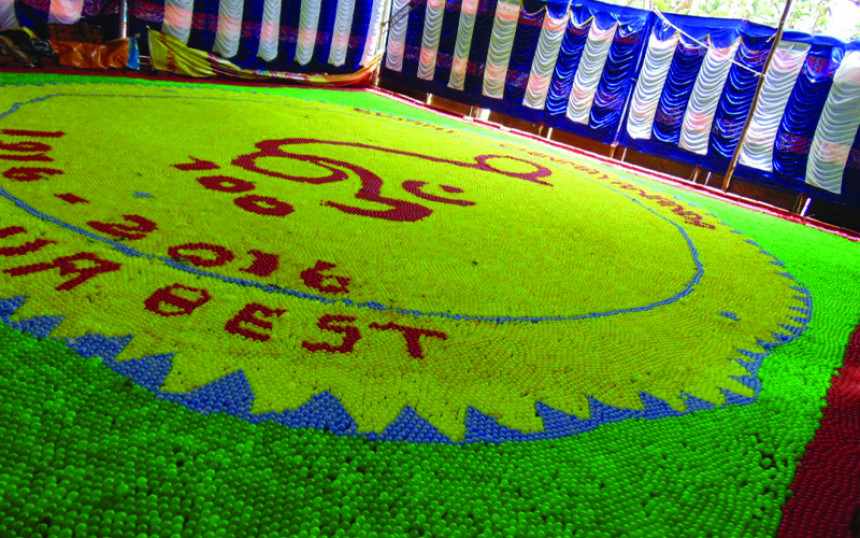 Largest Plastic Ball Mosaic by a Team